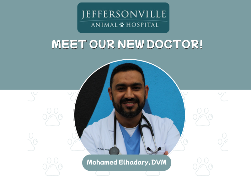 Carousel Slide 1: Click here to book an appointment!