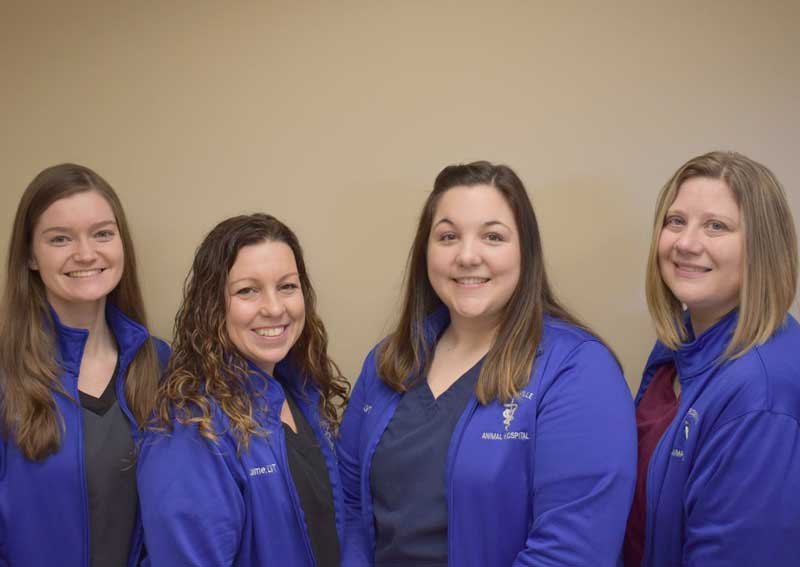 Carousel Slide 2: Meet our team!