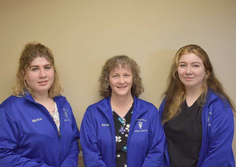 Carousel Slide 4: Learn more about us