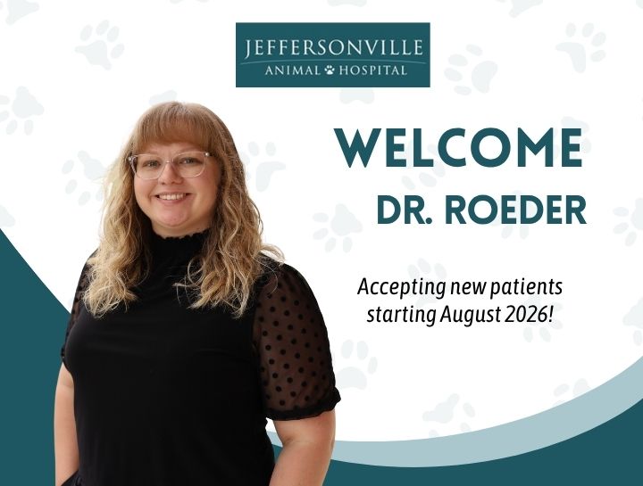 Jeffersonville Animal Hospital Welcomes Dr. Heather Roeder